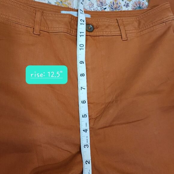 🌜 EVERLANE Curvy Straight High Rise Jean | Burnt Orange | size 12 - Picture 6 of 10